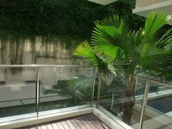 8 @ Mount Sophia (D9), Condominium #514304281